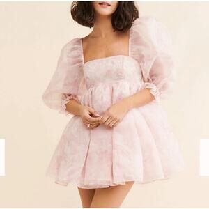 Selkie Pink Puff Sleeve Mini Dress Size 4X